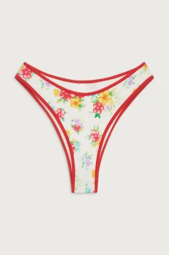 Dove Shine Classic Bikini Bottom